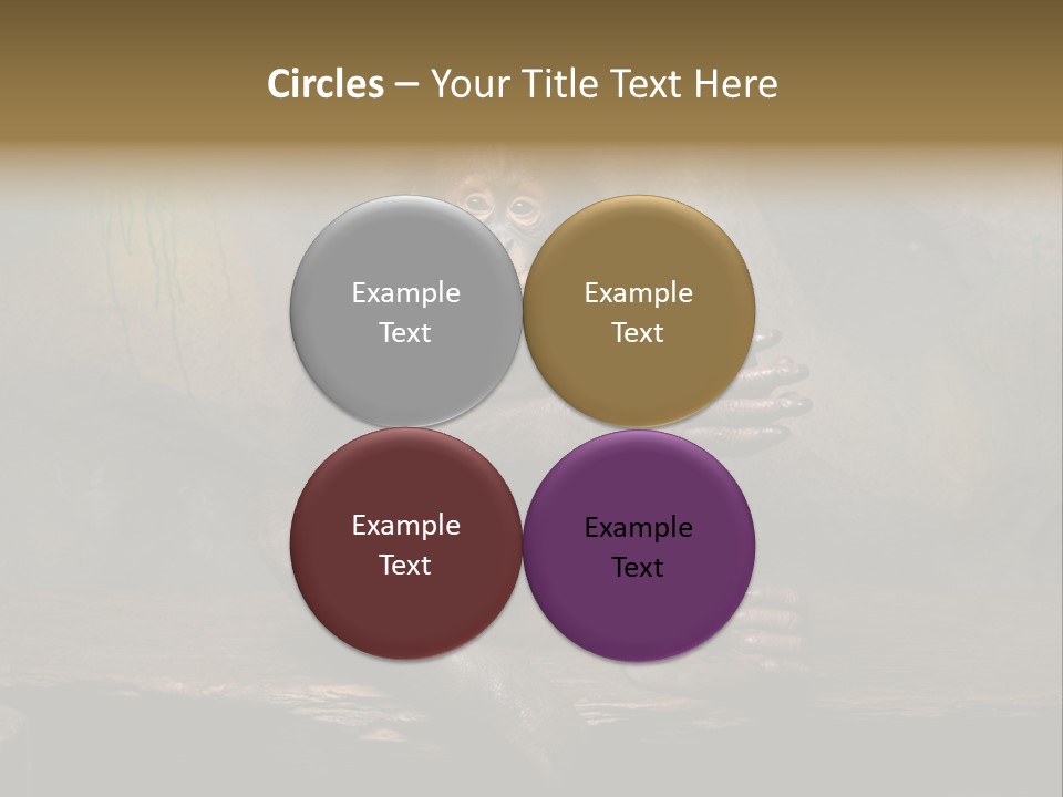 Hairy Nature Animals In The Wild PowerPoint Template