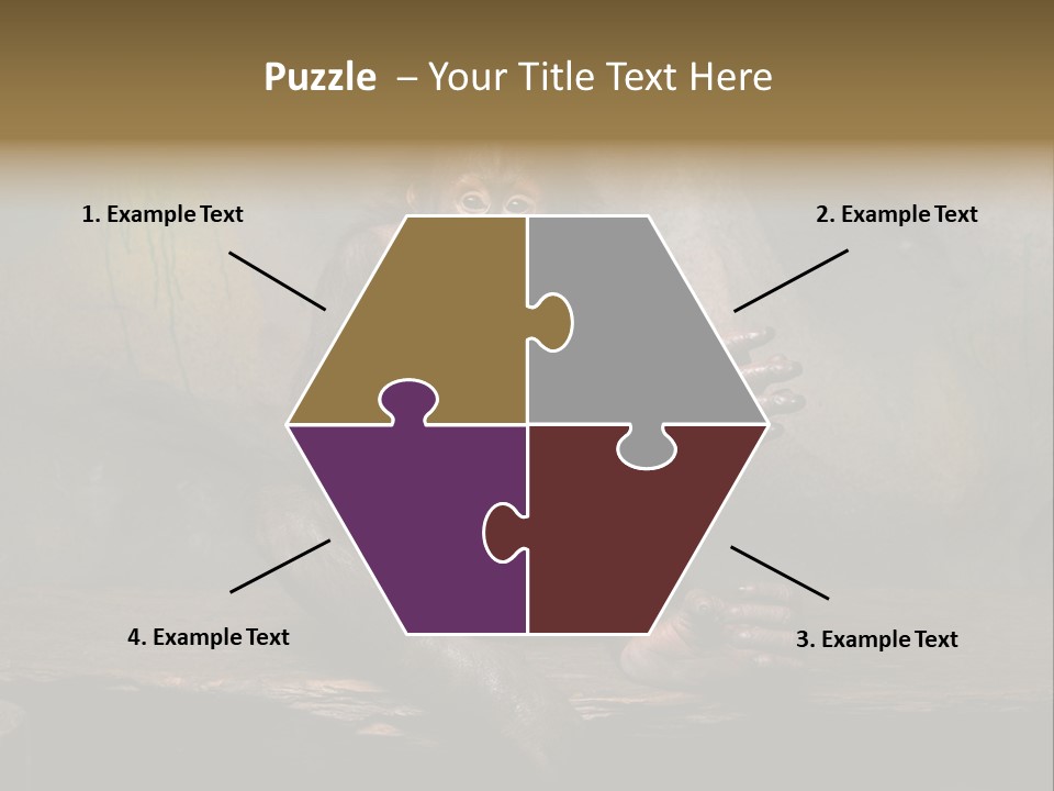 Hairy Nature Animals In The Wild PowerPoint Template