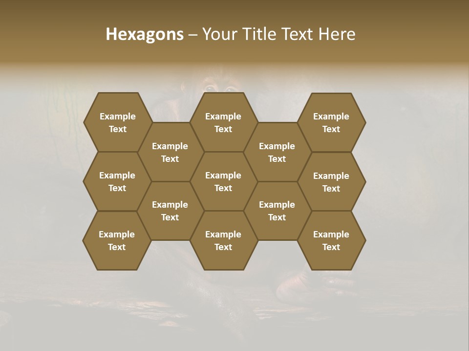 Hairy Nature Animals In The Wild PowerPoint Template