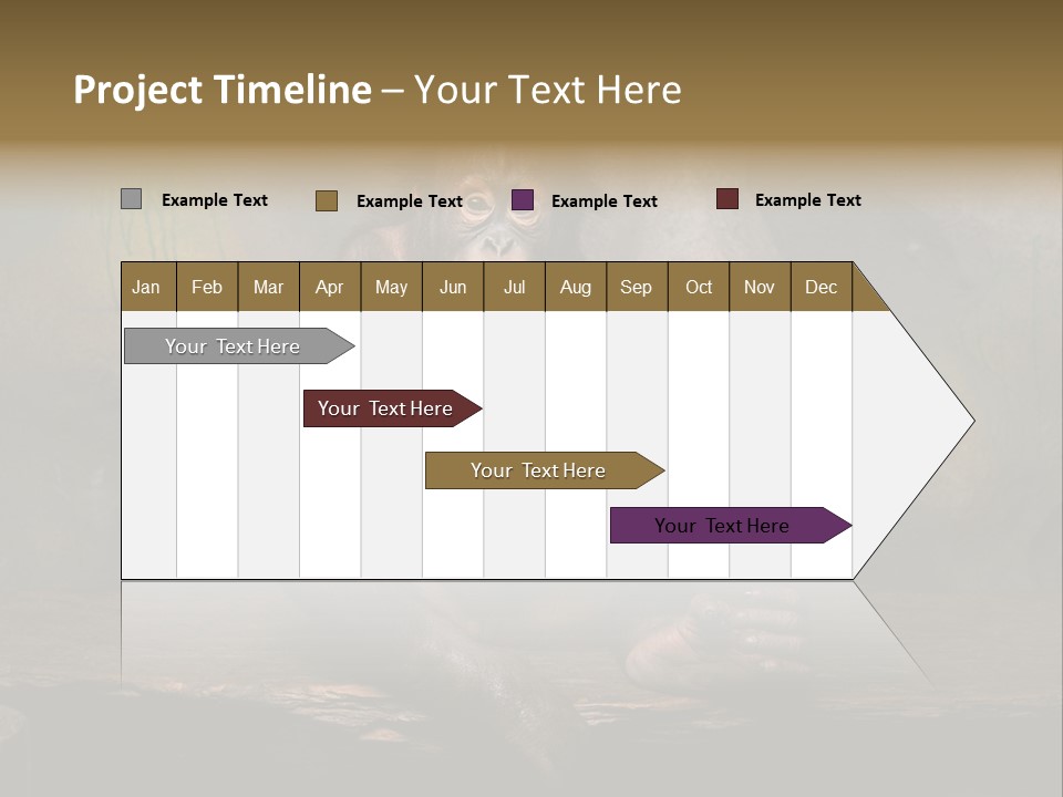 Hairy Nature Animals In The Wild PowerPoint Template