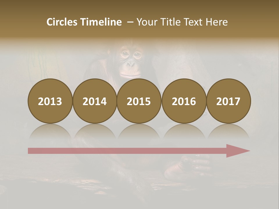 Hairy Nature Animals In The Wild PowerPoint Template