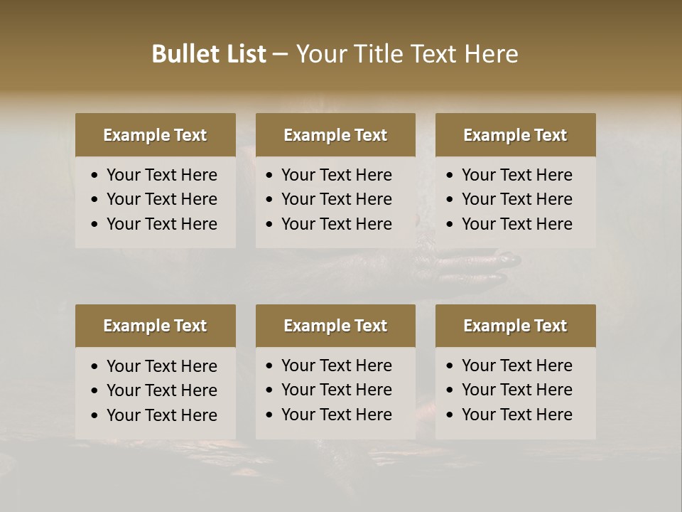 Hairy Nature Animals In The Wild PowerPoint Template