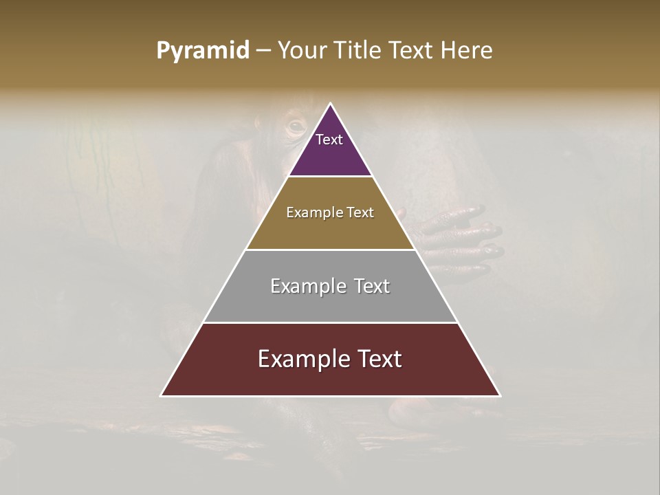 Hairy Nature Animals In The Wild PowerPoint Template