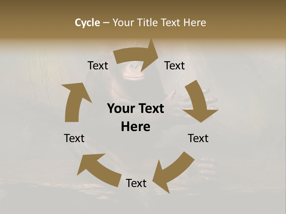 Hairy Nature Animals In The Wild PowerPoint Template