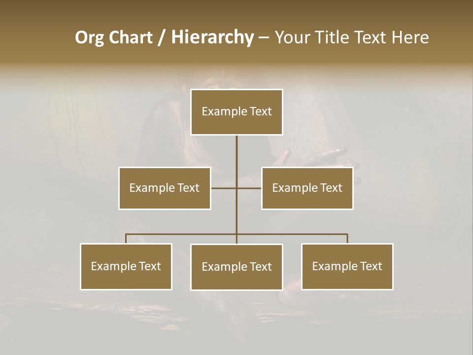 Hairy Nature Animals In The Wild PowerPoint Template