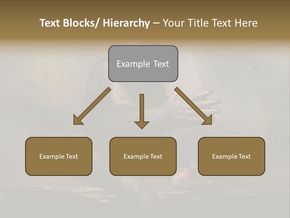 Hairy Nature Animals In The Wild PowerPoint Template
