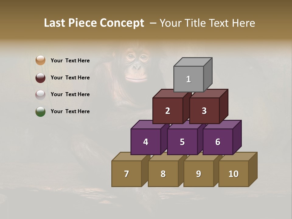 Hairy Nature Animals In The Wild PowerPoint Template