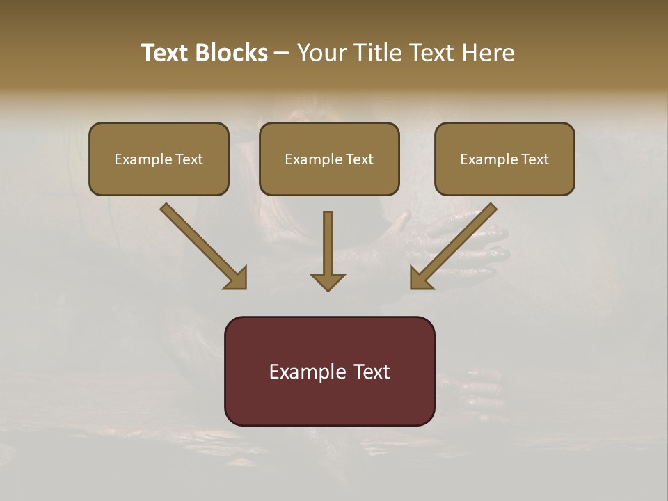 Hairy Nature Animals In The Wild PowerPoint Template