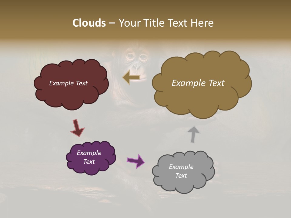 Hairy Nature Animals In The Wild PowerPoint Template