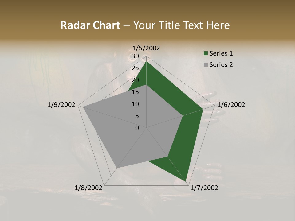 Hairy Nature Animals In The Wild PowerPoint Template