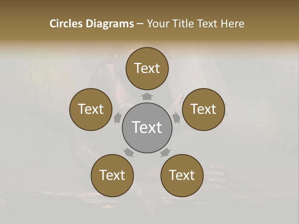 Hairy Nature Animals In The Wild PowerPoint Template