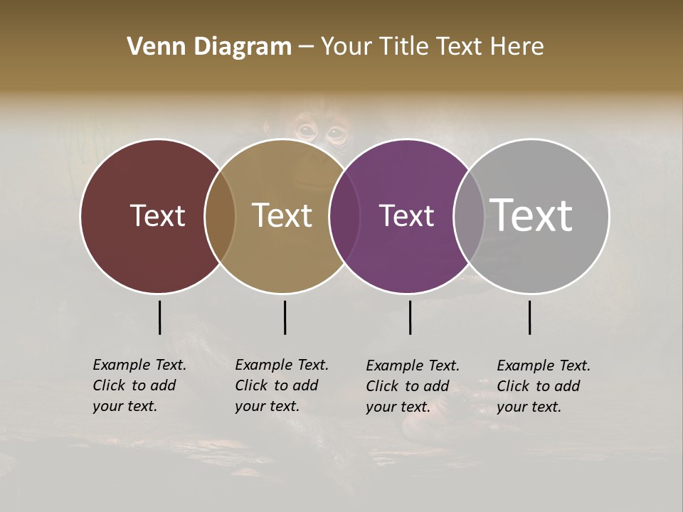 Hairy Nature Animals In The Wild PowerPoint Template