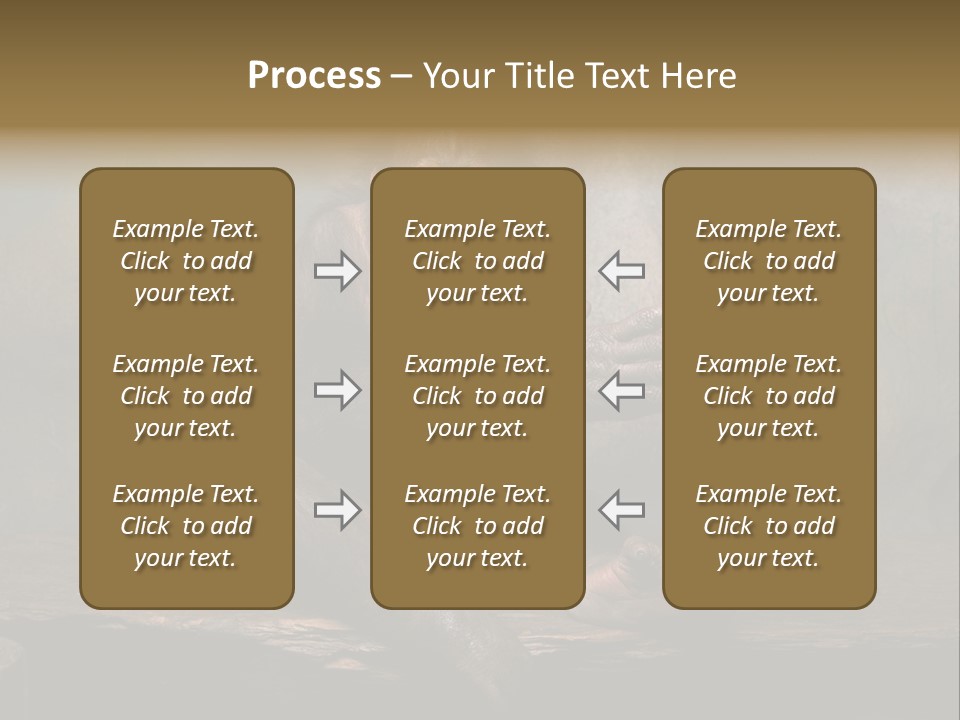 Hairy Nature Animals In The Wild PowerPoint Template
