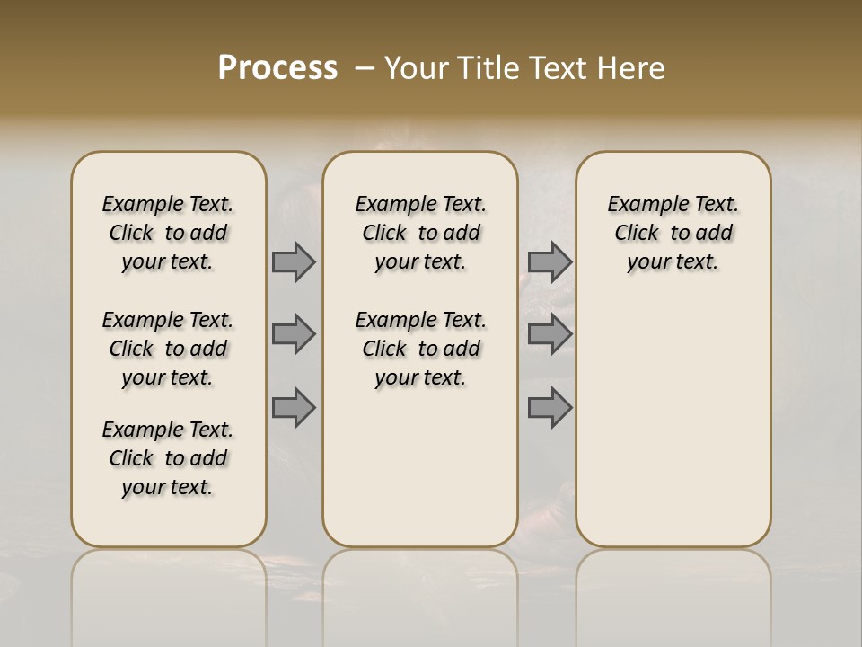 Hairy Nature Animals In The Wild PowerPoint Template