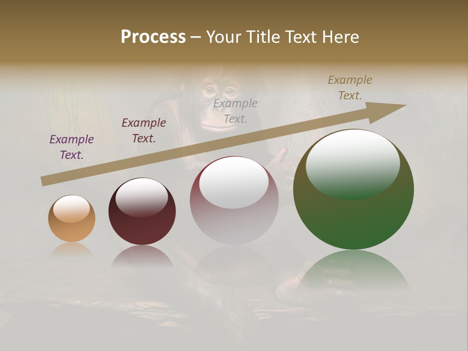 Hairy Nature Animals In The Wild PowerPoint Template