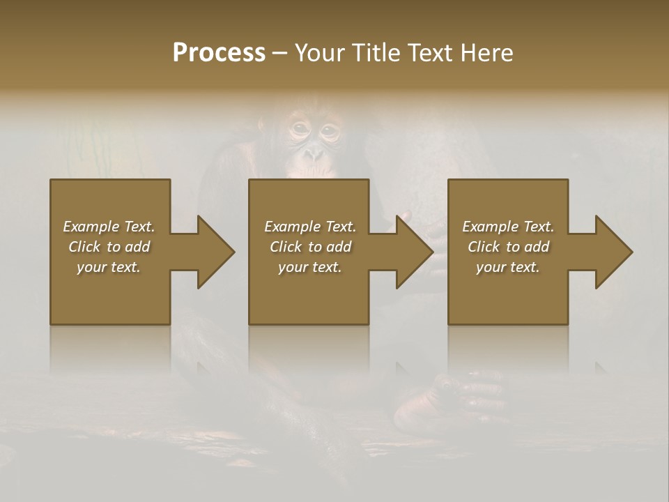 Hairy Nature Animals In The Wild PowerPoint Template