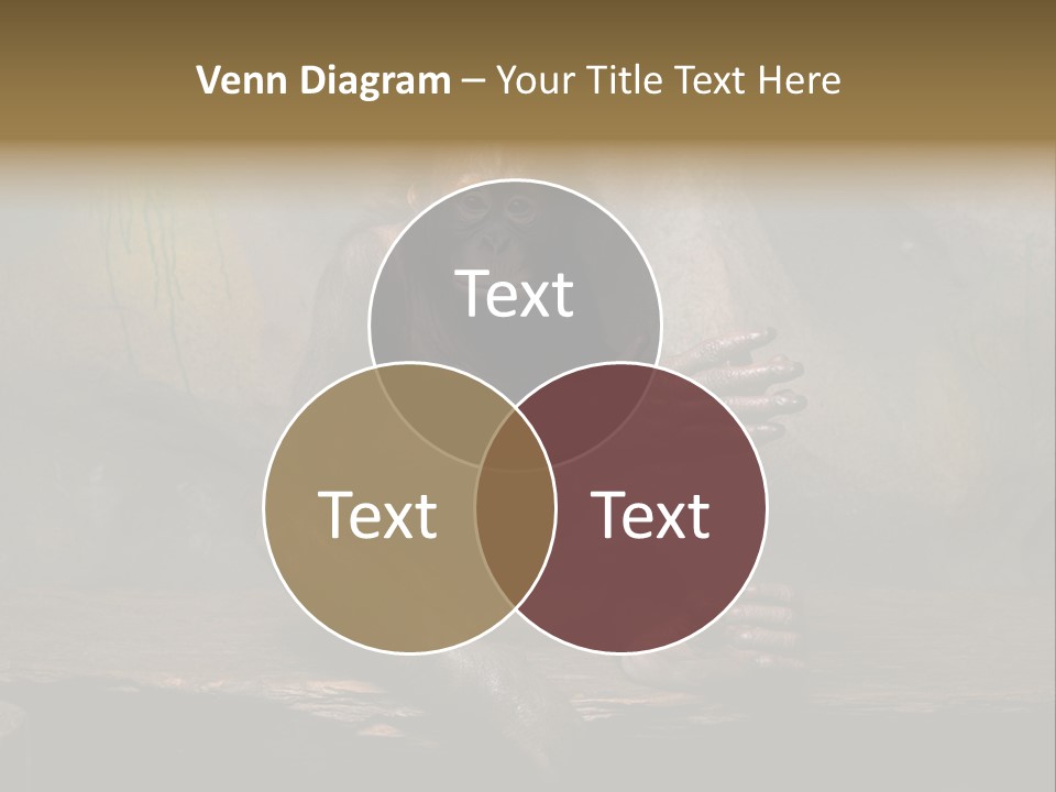 Hairy Nature Animals In The Wild PowerPoint Template