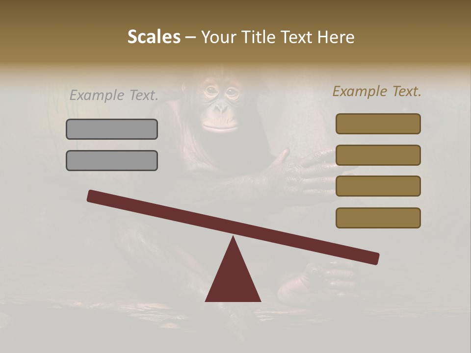 Hairy Nature Animals In The Wild PowerPoint Template