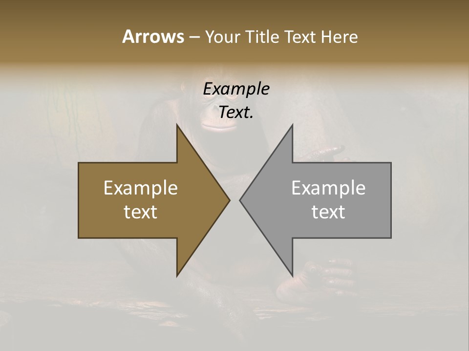 Hairy Nature Animals In The Wild PowerPoint Template