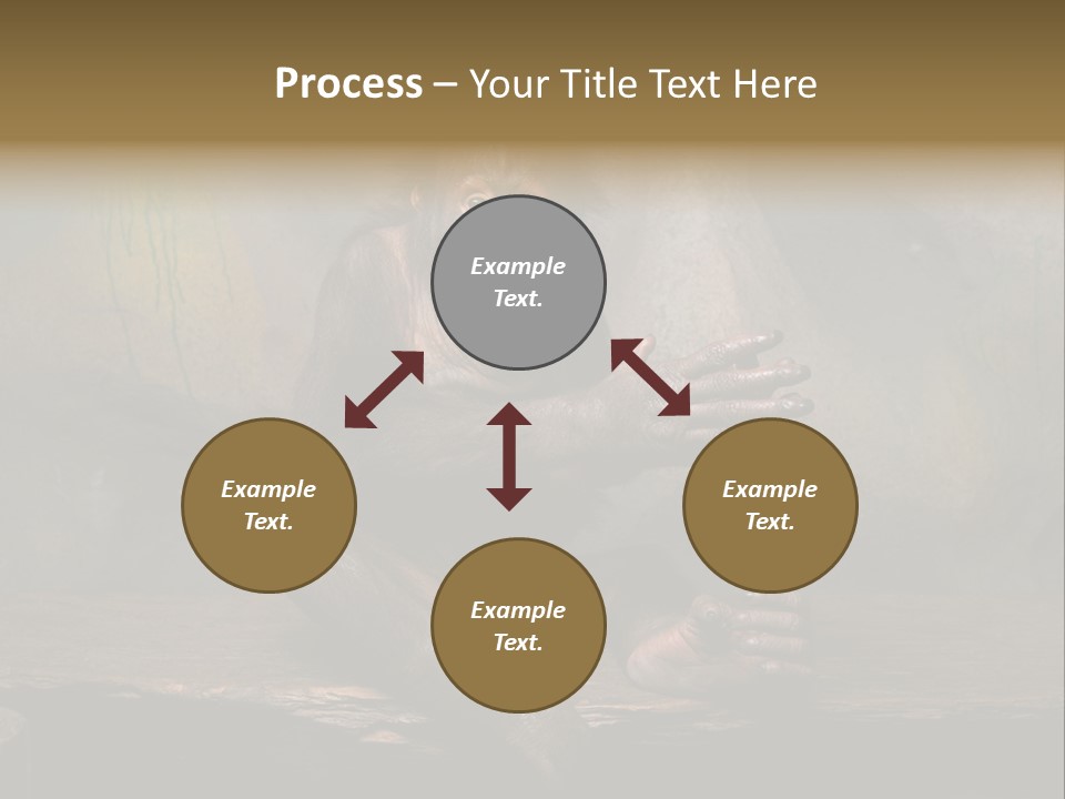 Hairy Nature Animals In The Wild PowerPoint Template