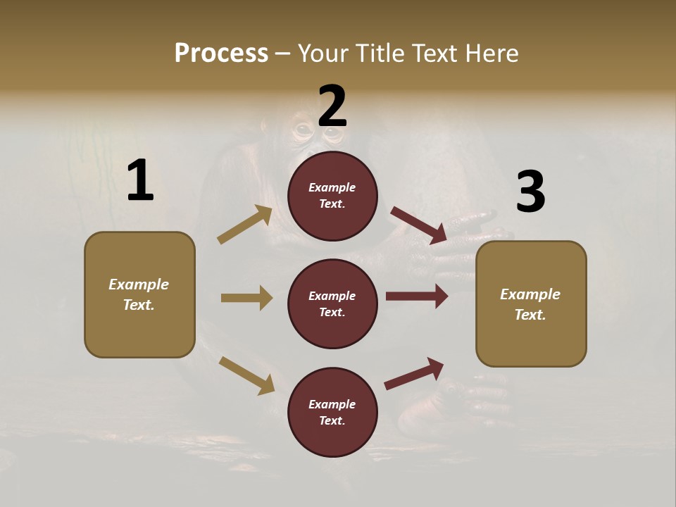 Hairy Nature Animals In The Wild PowerPoint Template