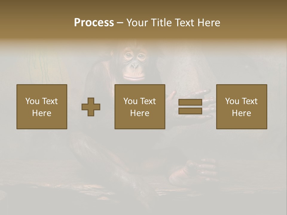 Hairy Nature Animals In The Wild PowerPoint Template