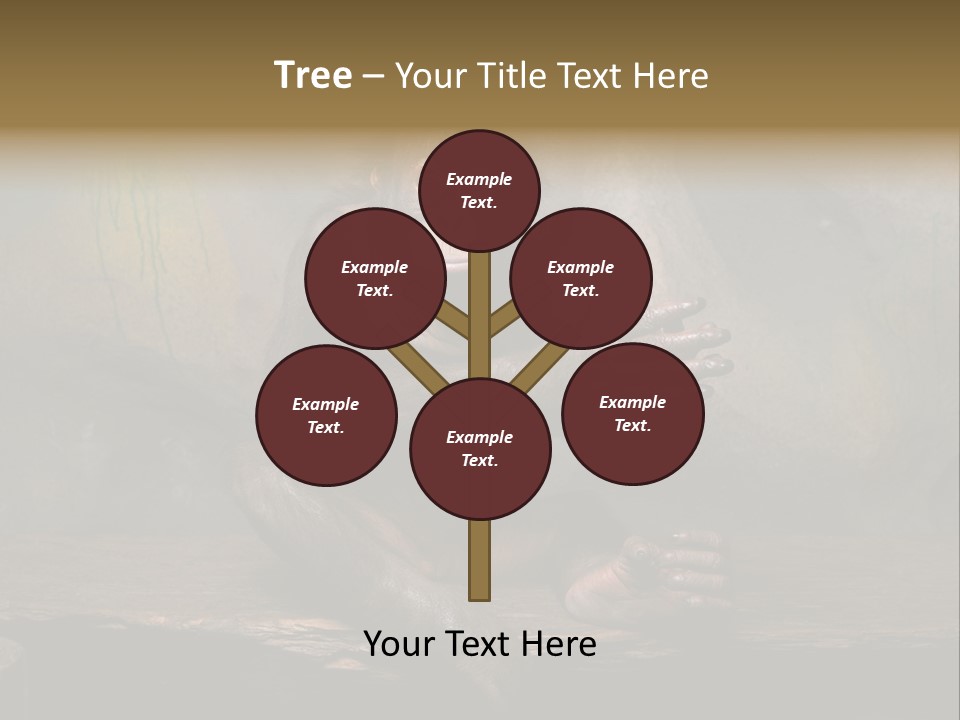 Hairy Nature Animals In The Wild PowerPoint Template