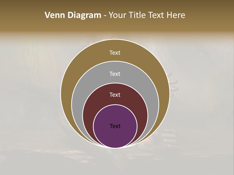 Hairy Nature Animals In The Wild PowerPoint Template