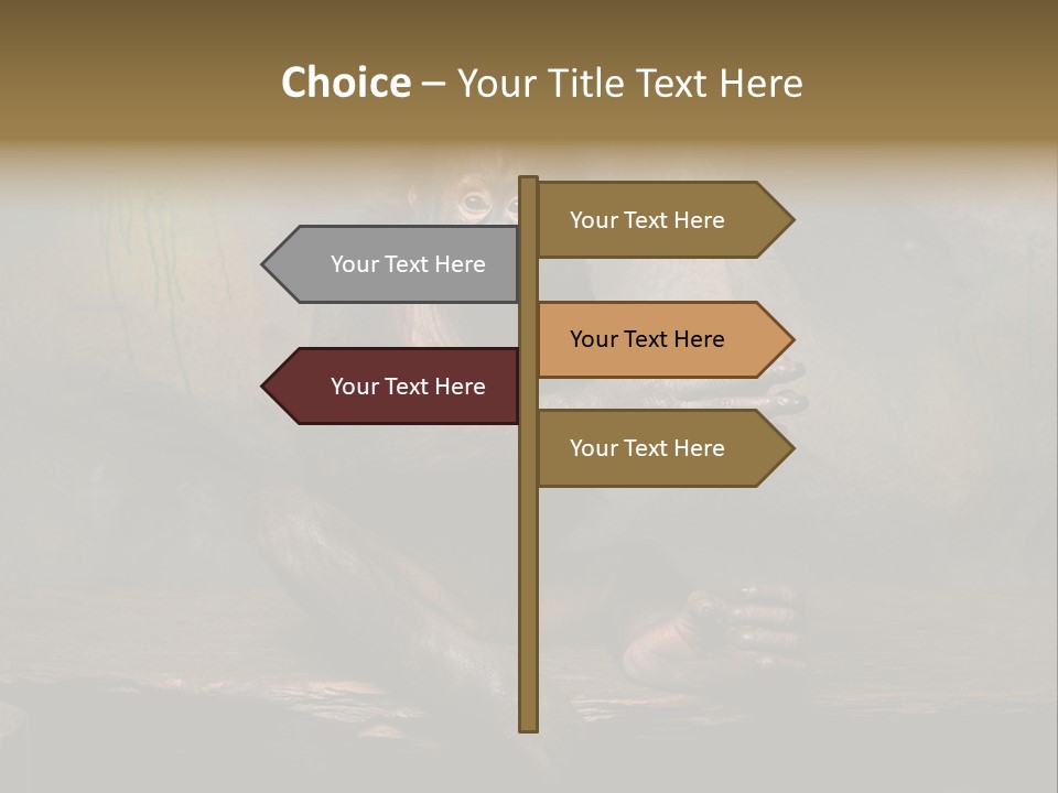 Hairy Nature Animals In The Wild PowerPoint Template