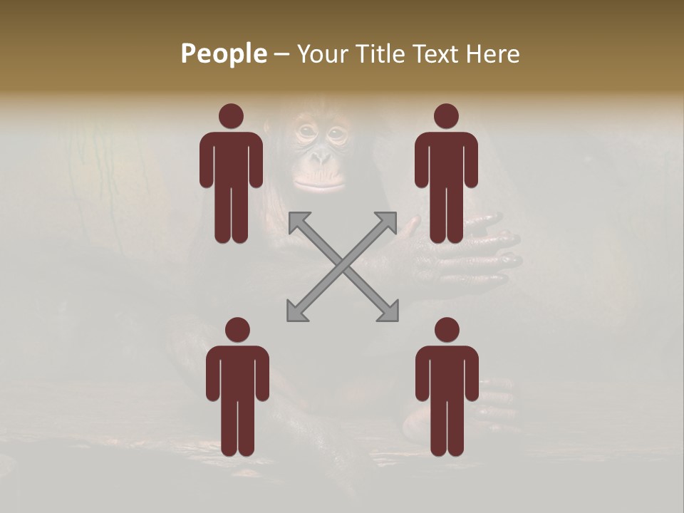 Hairy Nature Animals In The Wild PowerPoint Template