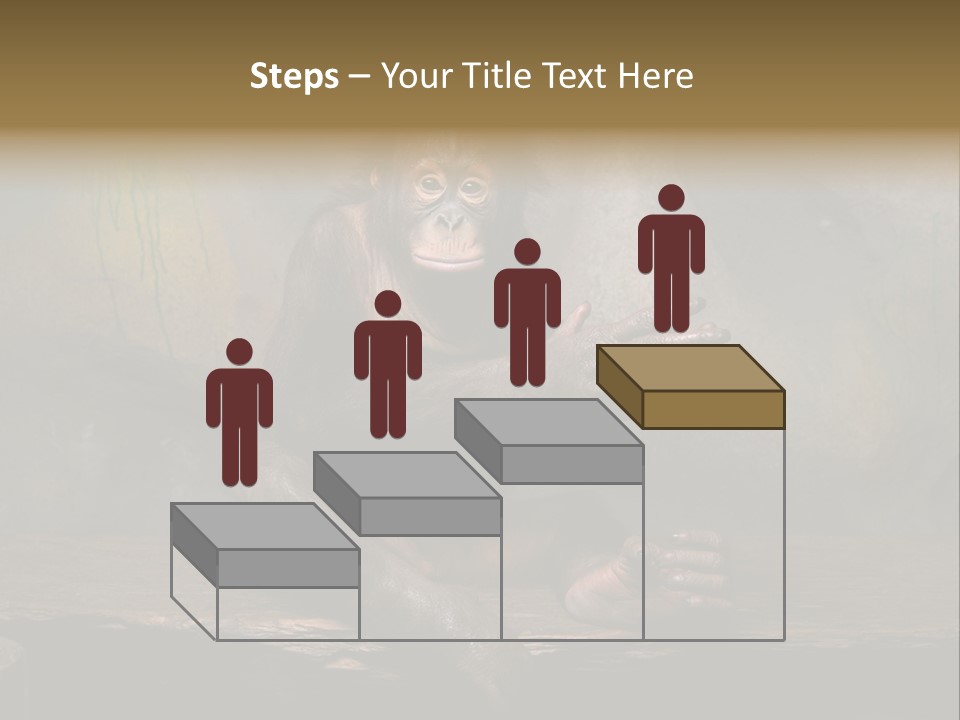 Hairy Nature Animals In The Wild PowerPoint Template