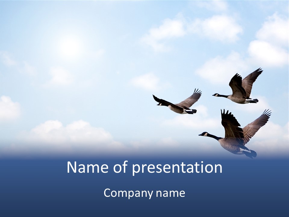 Beautiful Sky Summer PowerPoint Template