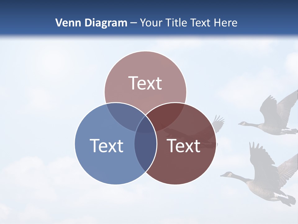 Beautiful Sky Summer PowerPoint Template