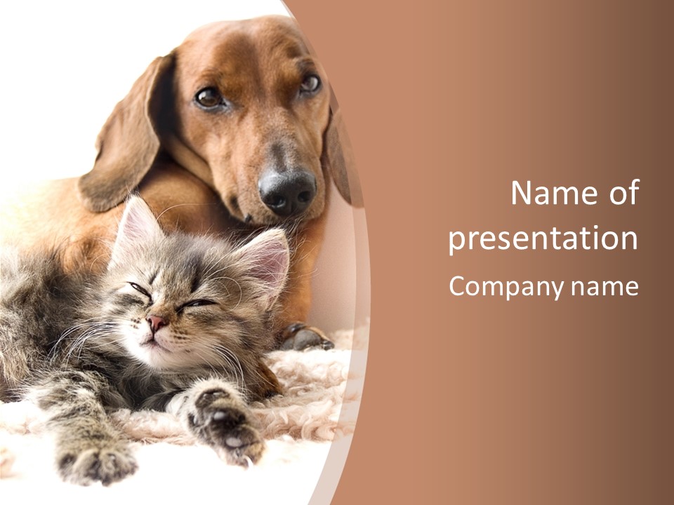 Single Dog Life PowerPoint Template