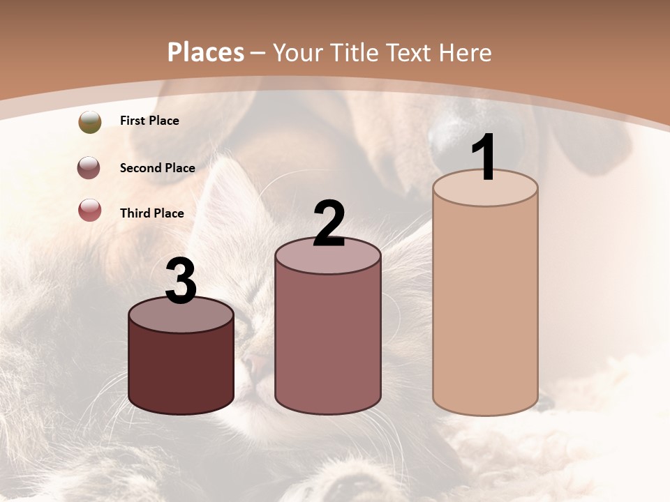 Single Dog Life PowerPoint Template