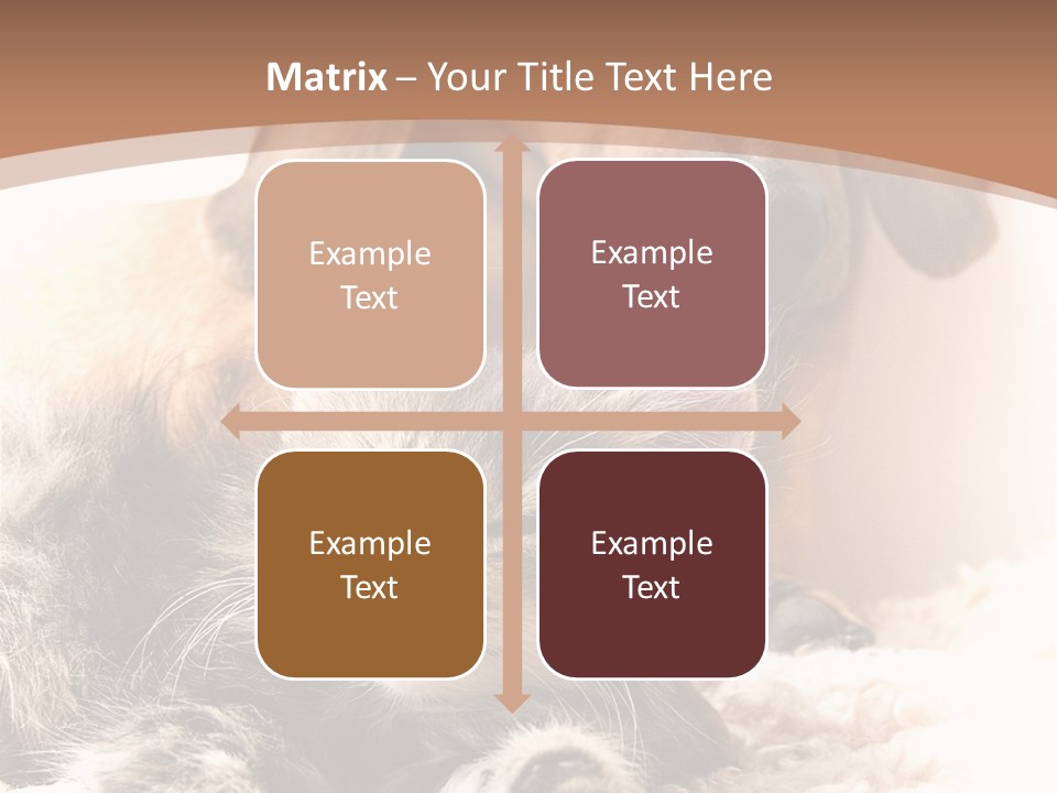 Single Dog Life PowerPoint Template