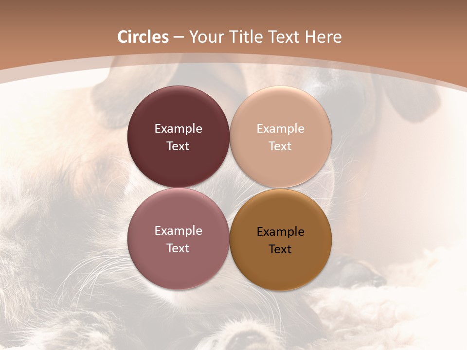 Single Dog Life PowerPoint Template