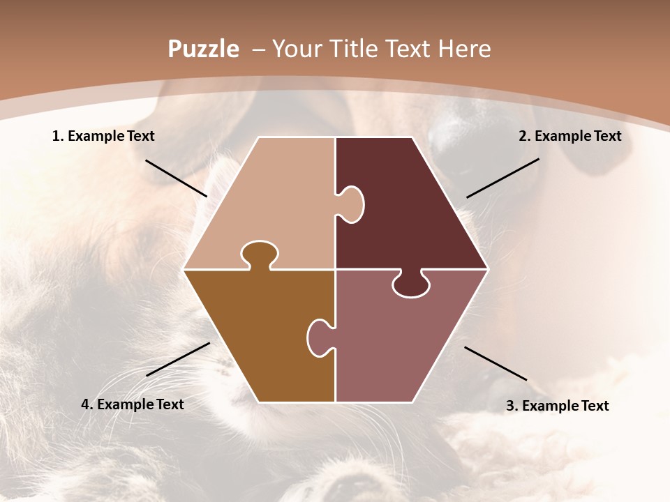 Single Dog Life PowerPoint Template