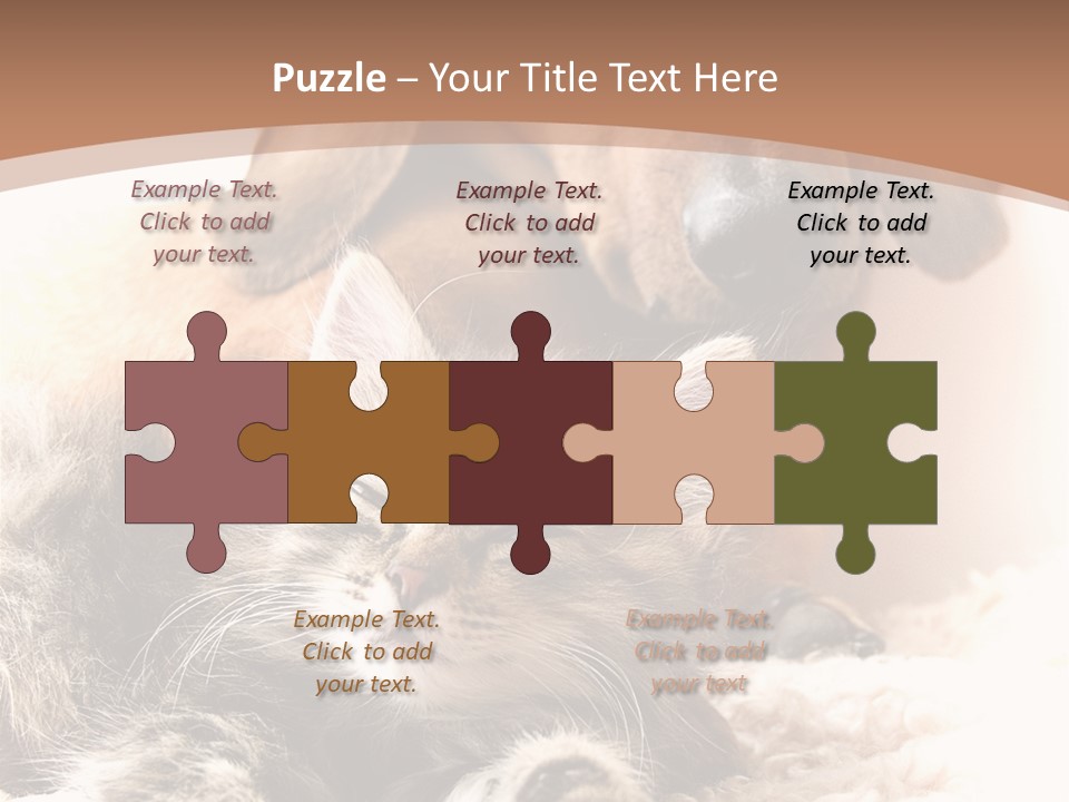 Single Dog Life PowerPoint Template