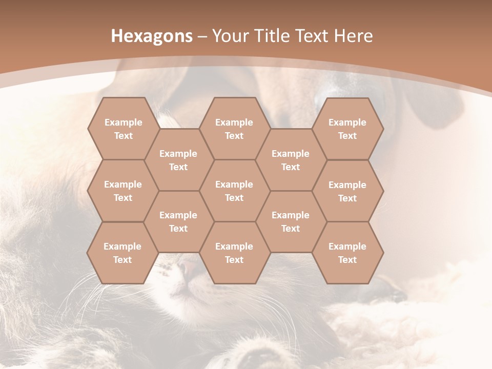 Single Dog Life PowerPoint Template