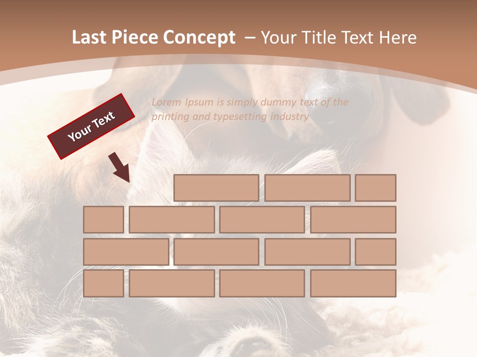 Single Dog Life PowerPoint Template