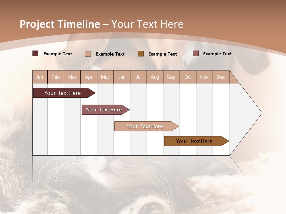 Single Dog Life PowerPoint Template