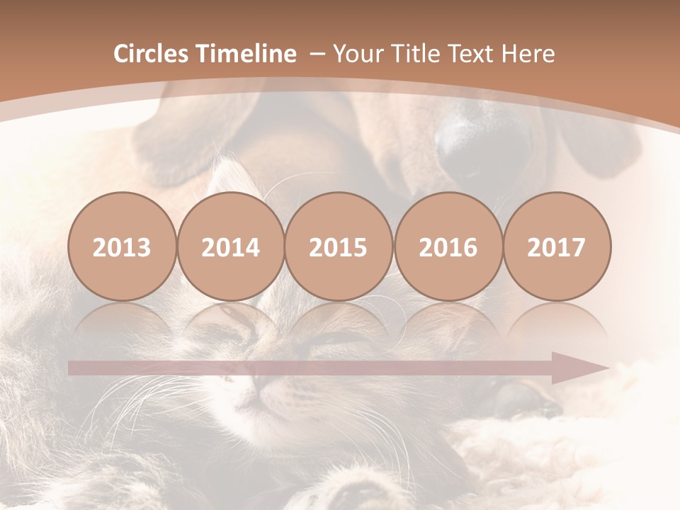 Single Dog Life PowerPoint Template