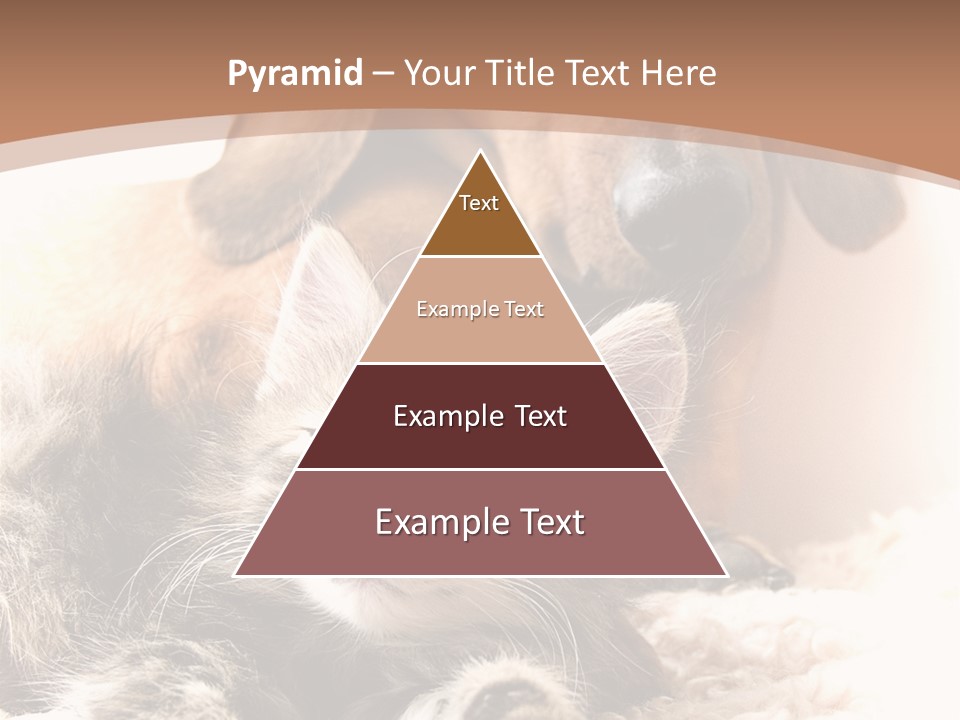 Single Dog Life PowerPoint Template