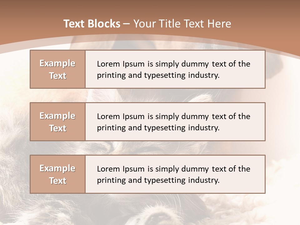 Single Dog Life PowerPoint Template
