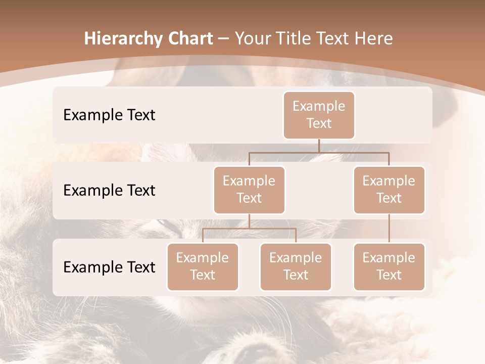 Single Dog Life PowerPoint Template