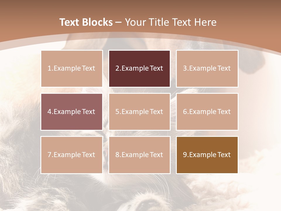 Single Dog Life PowerPoint Template