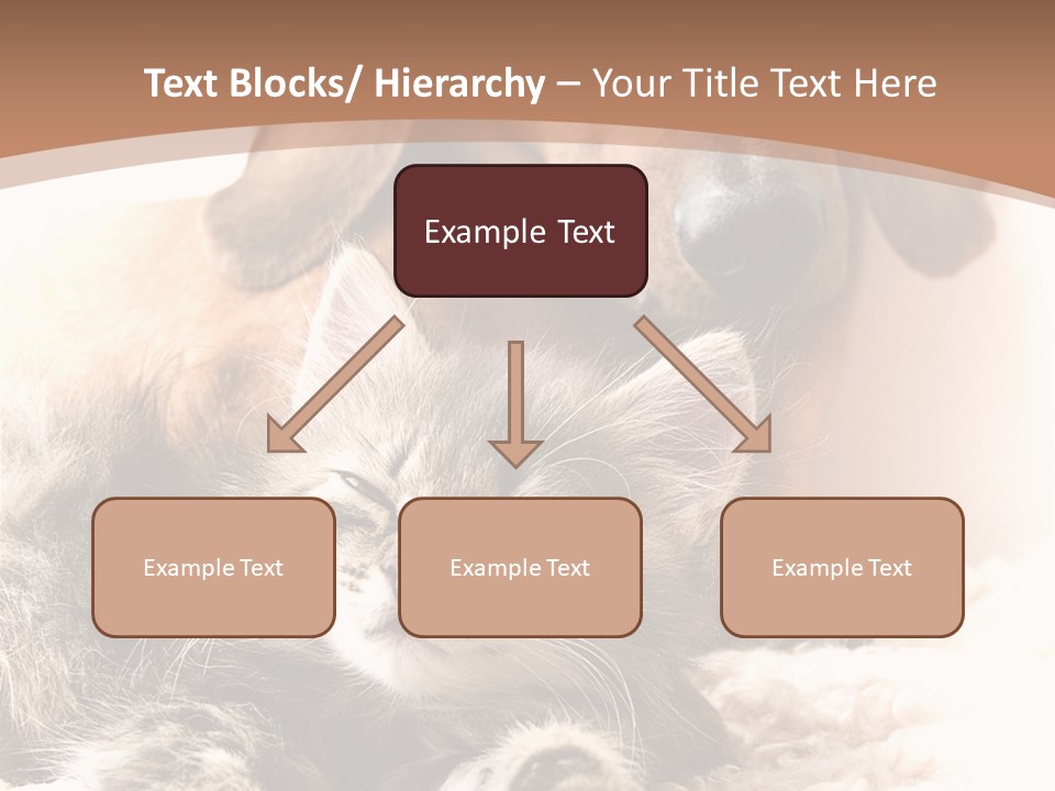 Single Dog Life PowerPoint Template