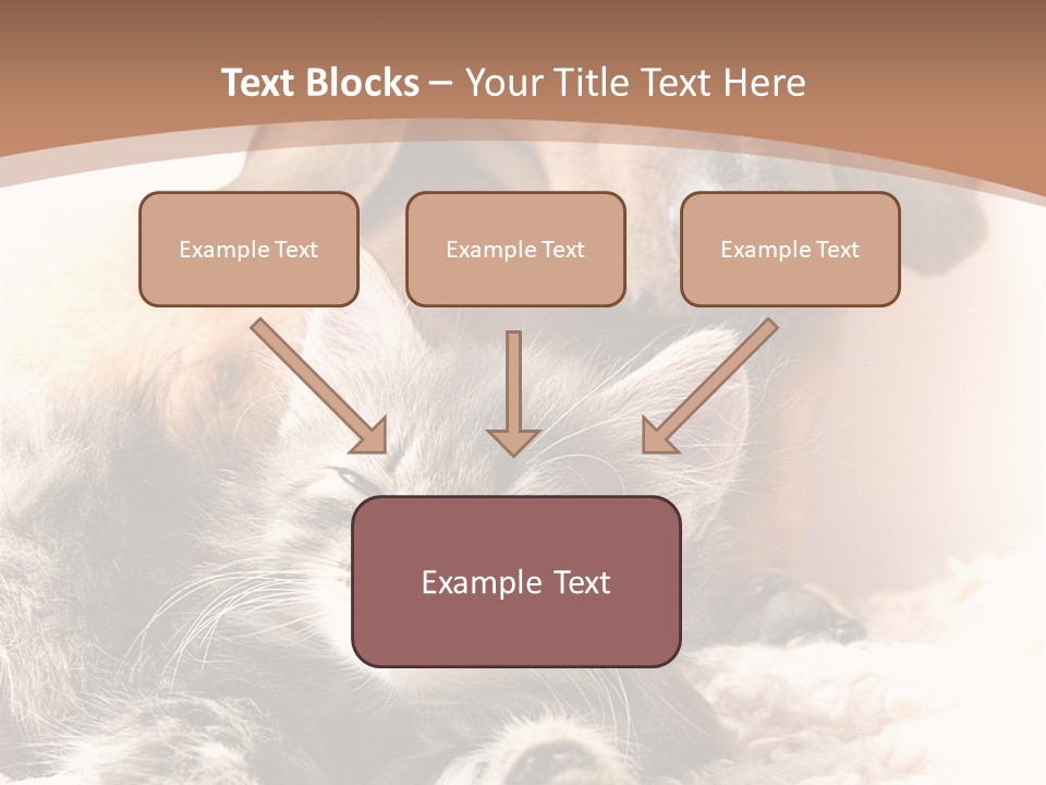 Single Dog Life PowerPoint Template