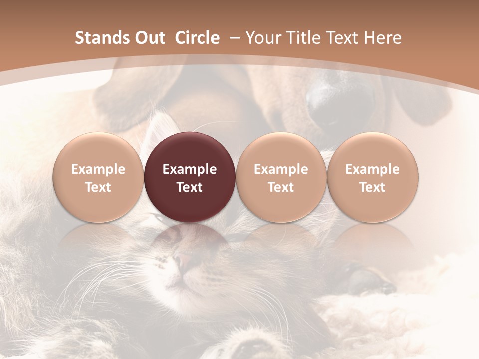 Single Dog Life PowerPoint Template